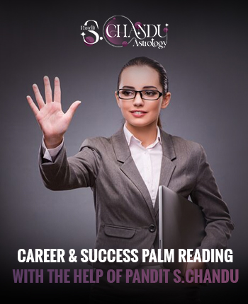 Career & Success Palm Reading-adv
