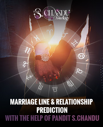 Career & Success Palm Reading-adv