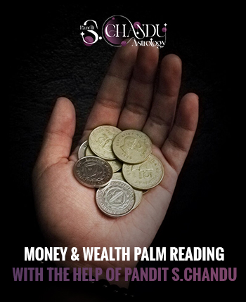 Money & Wealth Palm Reading-adv